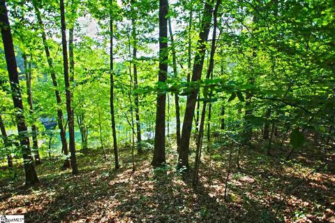 113 Cornsilk Way, Sunset, SC 29685 photo 12