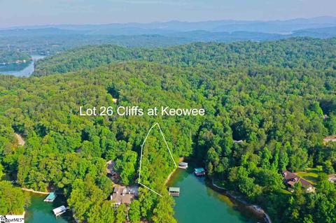 113 Cornsilk Way, Sunset, SC 29685 photo 30
