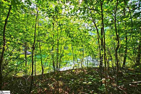 113 Cornsilk Way, Sunset, SC 29685 photo 14