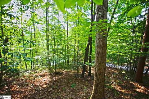 113 Cornsilk Way, Sunset, SC 29685 photo 7