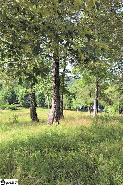 238 Long Ridge Rd, Sunset, SC 29685 photo 1