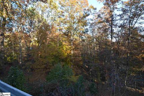 170 Fox Covert Ln, Tryon, NC 28782 photo 28