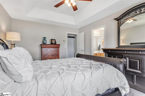 203 Constantine Way, Greer, SC 29650 photo 27