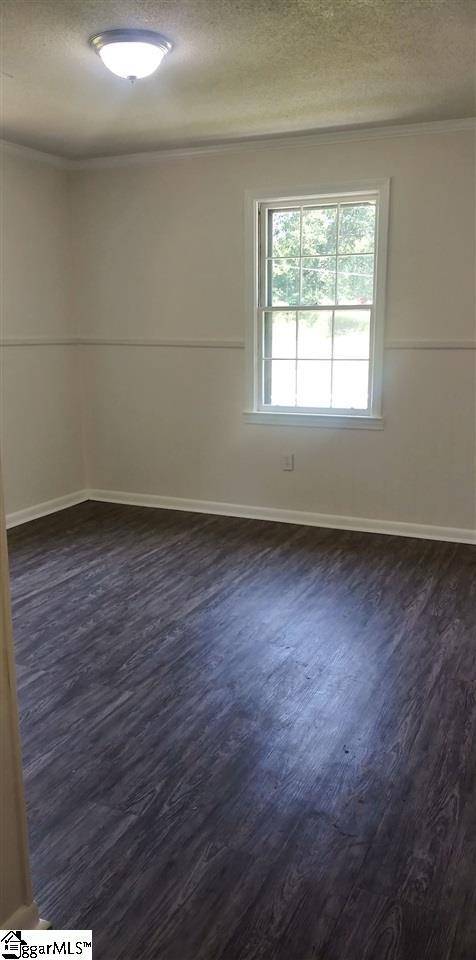 203 Latham Terrace Rd, Easley, SC 29640 photo 10