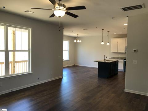 226 Everard Ln, Greer, SC 29650 photo 3
