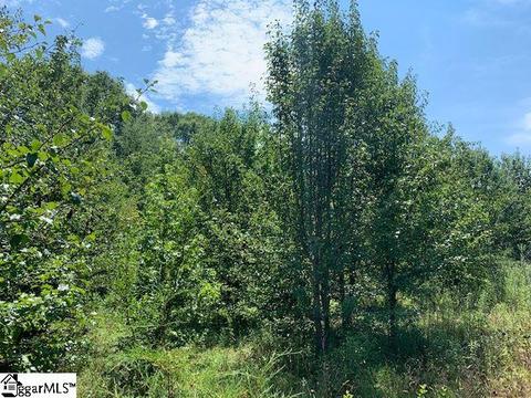 9431 Augusta Rd, Pelzer, SC 29669 photo 17
