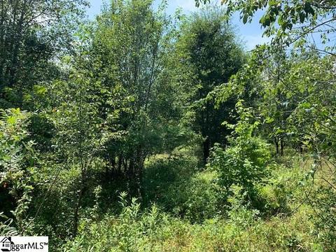 9431 Augusta Rd, Pelzer, SC 29669 photo 16