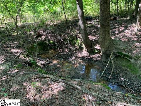 9431 Augusta Rd, Pelzer, SC 29669 photo 23
