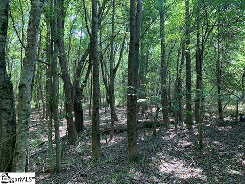 9431 Augusta Rd, Pelzer, SC 29669 photo 18