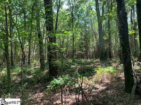 9431 Augusta Rd, Pelzer, SC 29669 photo 24