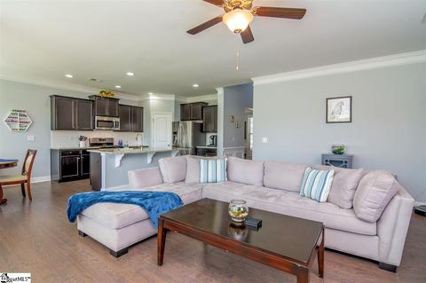 171 Willowbottom Dr, Greer, SC 29651 photo 9
