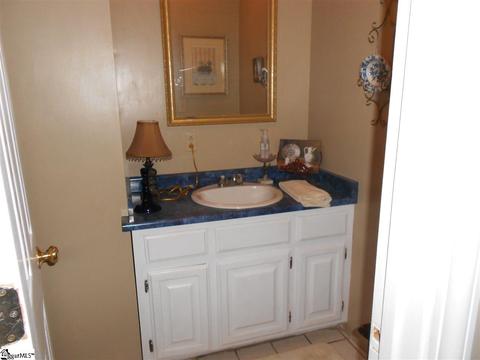306 Shadowmere Dr, Pelzer, SC 29669 photo 17