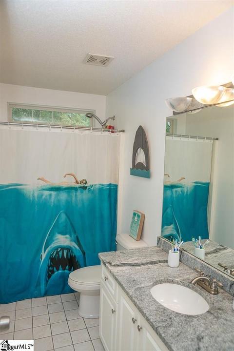 101 Wild Wing Way, Easley, SC 29642 photo 19