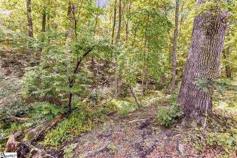 401 Bolding Rd, Pickens, SC 29671 photo 31