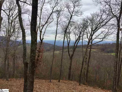 215 Yellowroot Ln, Landrum, SC 29356