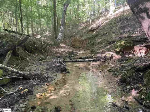 Goldmine Road, Pacolet, SC 29372 photo 3