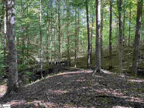 Goldmine Road, Pacolet, SC 29372 photo 9