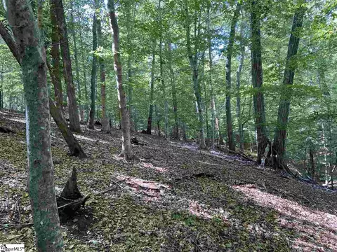 Goldmine Road, Pacolet, SC 29372 photo 10