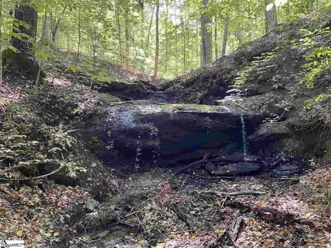 Goldmine Road, Pacolet, SC 29372 photo 11
