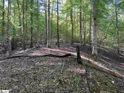 Goldmine Road, Pacolet, SC 29372 photo 8