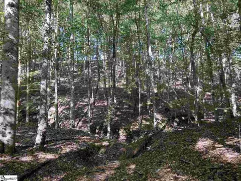 Goldmine Road, Pacolet, SC 29372 photo 5