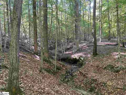 Goldmine Road, Pacolet, SC 29372 photo 7