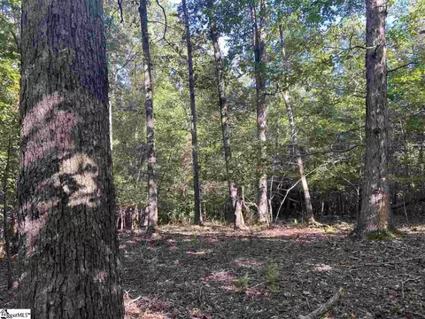 Goldmine Road, Pacolet, SC 29372 photo 4