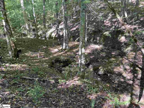 Goldmine Road, Pacolet, SC 29372 photo 6