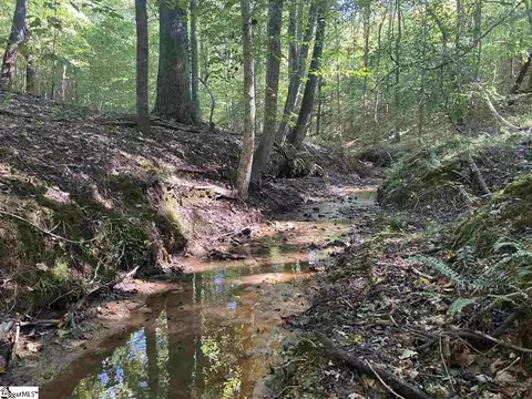 Goldmine Road, Pacolet, SC 29372 photo 2