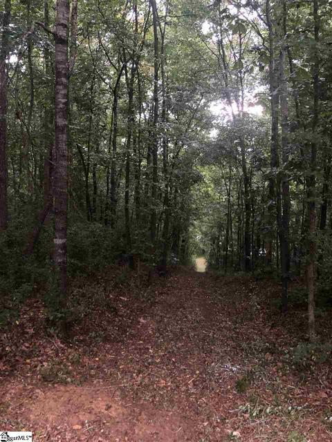 28 Teapot Dr, Waterloo, SC 29384 photo 9