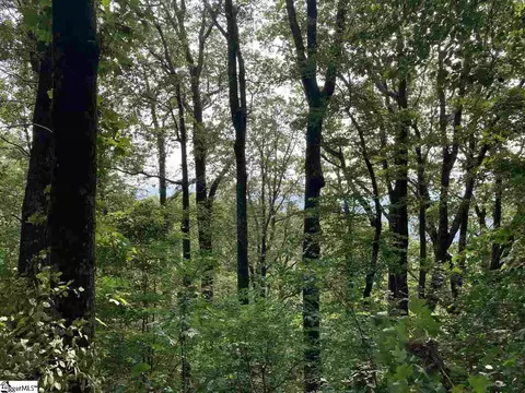 boulder lookout drive LOT 151, Landrum, SC 29356