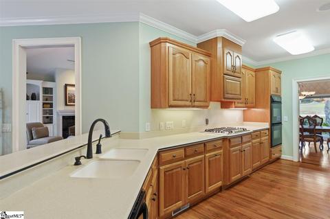 317 Shadowmere Dr, Pelzer, SC 29669 photo 7