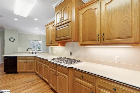 317 Shadowmere Dr, Pelzer, SC 29669 photo 8
