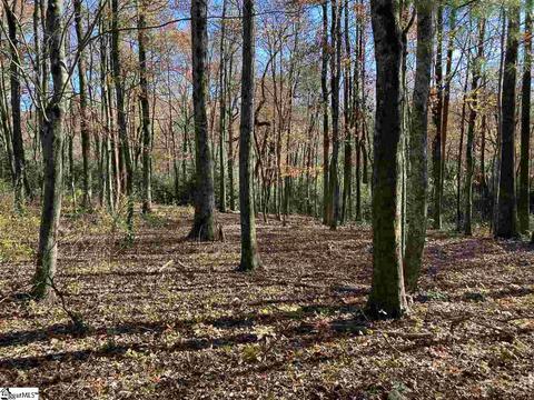 246 Snap Dragon Way, Landrum, SC 29356