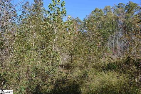211 Hester Store Rd, Easley, SC 29640 photo 11