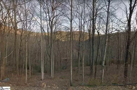 Outcrop Trail Lot 113, Landrum, SC 29356