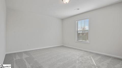 1 Granito Dr, Greer, SC 29650 photo 26