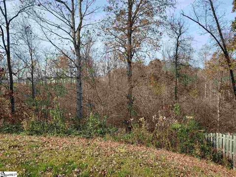 736 White Cloud Dr, Lyman, SC 29365 photo 20