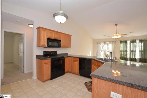 114 Steepleview Ct, Greer, SC 29651 photo 19