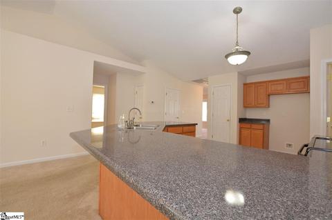 114 Steepleview Ct, Greer, SC 29651 photo 17