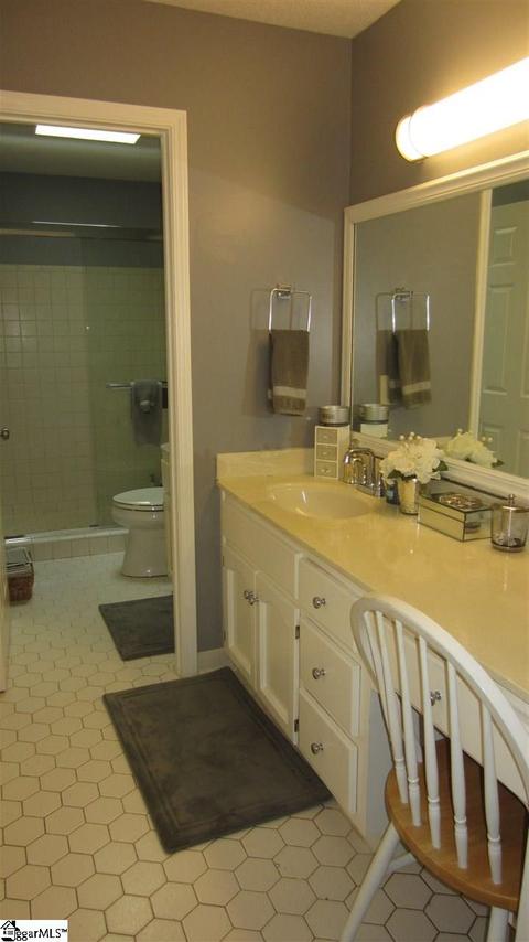 100 Lytle Ct, Greer, SC 29650 photo 24
