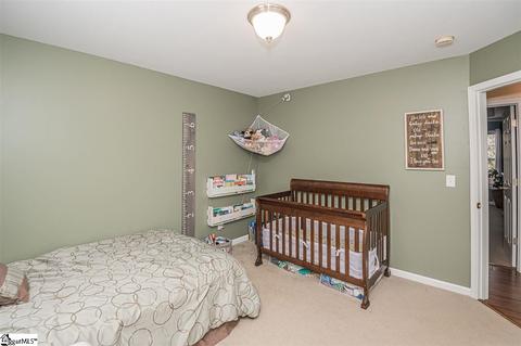 8 Four Leaf Ct, Pelzer, SC 29669 photo 20
