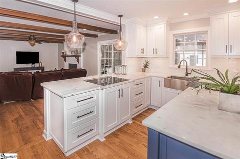 241 Snow Rd, Pelzer, SC 29669 photo 19