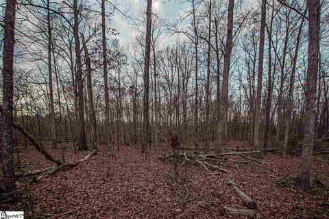 241 Snow Rd, Pelzer, SC 29669 photo 12