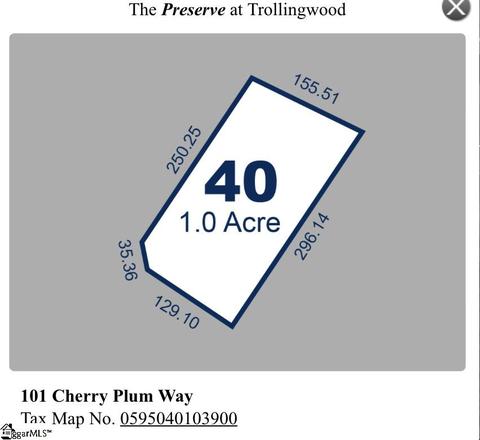 101 Cherry Plum Way, Pelzer, SC 29669 photo 5