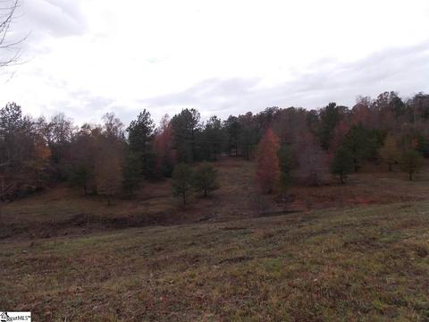 540 E Preston Mcdaniel Rd, Pickens, SC 29671 photo 10