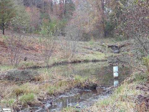 540 E Preston Mcdaniel Rd, Pickens, SC 29671 photo 8