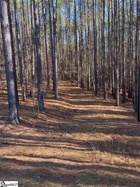 624 Top Ridge Dr, Sunset, SC 29685 photo 9