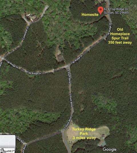 624 Top Ridge Dr, Sunset, SC 29685 photo 10
