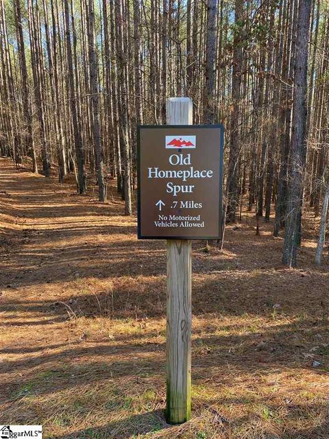 624 Top Ridge Dr, Sunset, SC 29685 photo 8